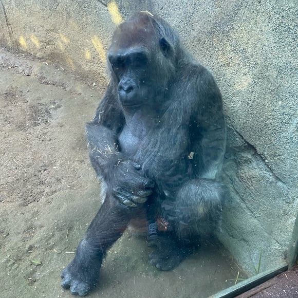 Meet your Posher, - Picture 13 of 13